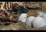 Сцена из фильма Крошечные существа / Tiny Creatures (2020) Крошечные существа сцена 6