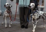 Фильм 102 Далматинца / 102 Dalmatians (2001) - cцена 3