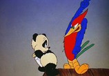 Мультфильм Вуди Вудпекер и друзья / Woody Woodpecker and His Friends (1982) - cцена 2