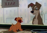 Мультфильм Леди и Бродяга / Lady and the Tramp (1955) - cцена 2
