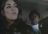 Фильм Мегера / Vixen! (1968) - cцена 1