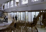 Сериал Бронзовый сад / El Jardín de Bronce (2017) - cцена 5