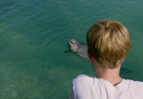 Фильм Мой друг дельфин Эхо / Dolphin Kick (2019) - cцена 1