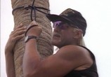 Сериал Гром в Раю / Thunder in paradise (1994) - cцена 1