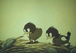 Мультфильм Лиса и Дрозд (1946) - cцена 3