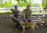 ТВ Щенячья школа / Pick of the Litter (2018) - cцена 3