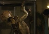 Сериал Охотники за древностями / Relic Hunter (1999) - cцена 3