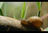 ТВ Крошечные существа / Tiny Creatures (2020) - cцена 5