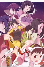 Истории подделок / Nisemonogatari (2012)