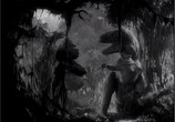 Фильм Кинг Конг / King Kong (1933) - cцена 4