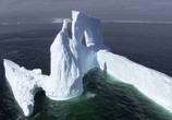 Сцена из фильма BBC: Планета Земля / Planet Earth (2006) BBC: Планета Земля сцена 21