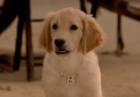 Фильм Пятерка кладоискателей / Treasure Buddies (2010) - cцена 3
