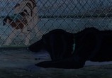 Мультфильм Отчаянные псы / The Plague Dogs (1982) - cцена 1