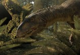 ТВ Планета динозавров. Совершенные убийцы. / Planet dinosaur. Ultimate killers (2011) - cцена 8